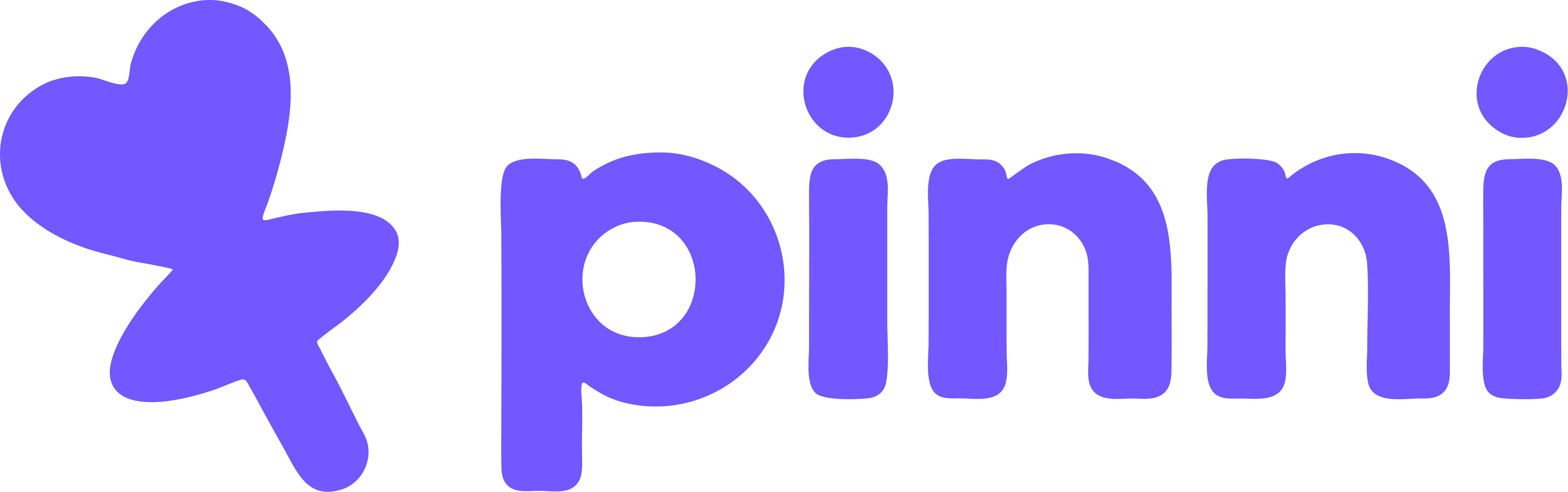 pinni